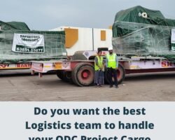 rapiditors-logistics-paraniputhur-chennai-packers-and-movers-wr63bwfxkv