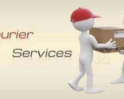 sri-vijayalakshmi-enterprise-chromepet-chennai-courier-services-qeinafaoel1