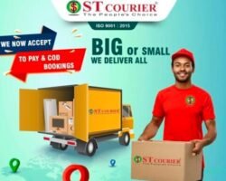 st-courier-velacheri-velacheri-chennai-24-hours-courier-services-ige5jtxr94