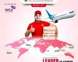 st-courier-velacheri-velacheri-chennai-24-hours-courier-services-rs0ndzdctv