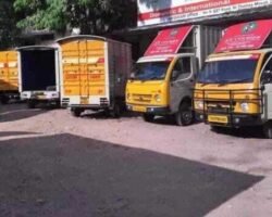 st-courier-velacheri-velacheri-chennai-courier-services-2d16xhz88k