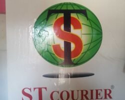 st-courier-velacheri-velacheri-chennai-courier-services-yj6urpm5oi1