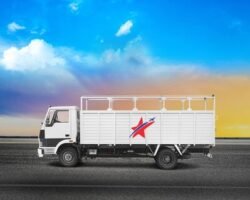 star-express-cargo-mount-road-chennai-contract-logistics-services-lr8e984wis